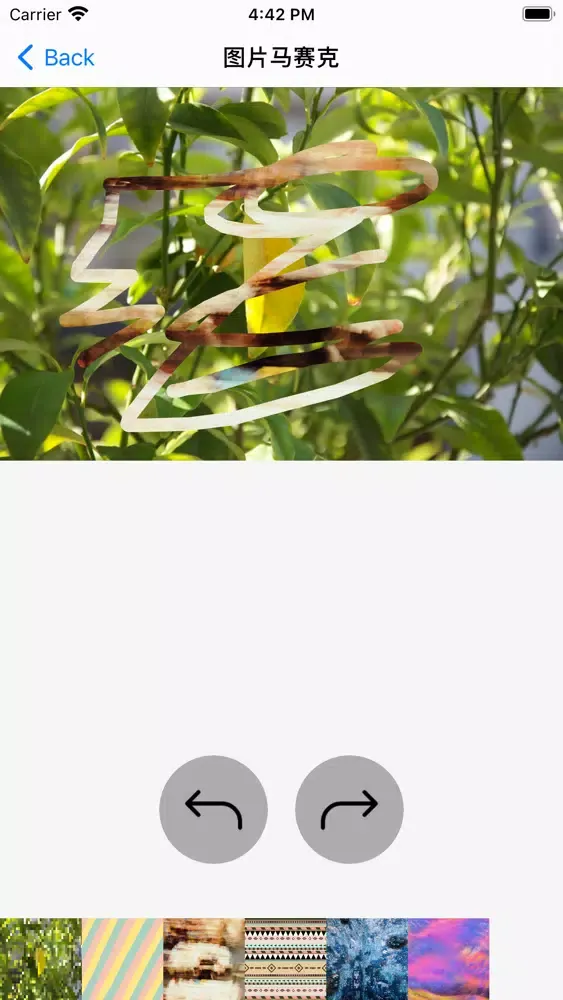 Capturas de tela do 随身账号管理好帮手