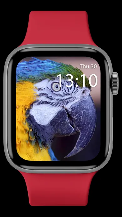 Live Watch Faces Ekran Görüntüleri