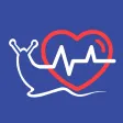 Snail Heart Rate