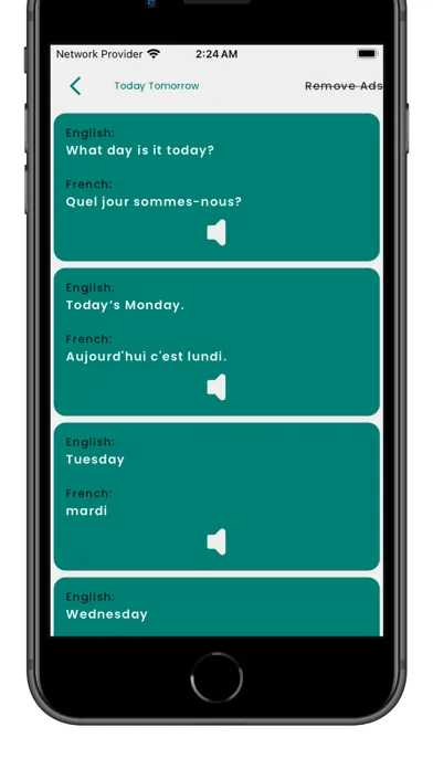 Capturas de pantalla de Learning French Language