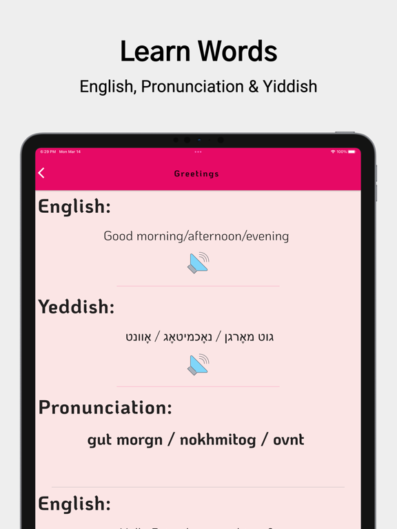Learn Yiddish For Beginners iPad 应用截图