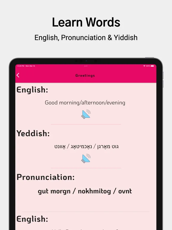 Learn Yiddish For Beginners iPad  스크린샷