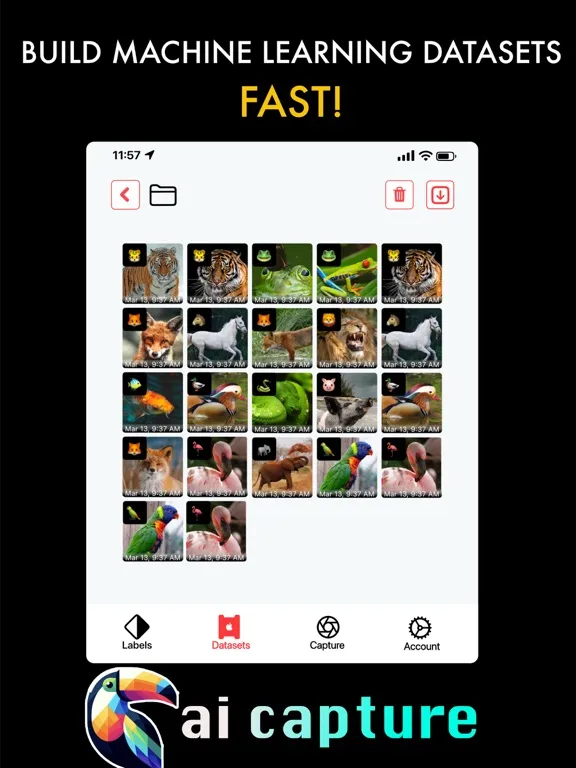 AI Capture: Create ML Datasets iPad 应用截图