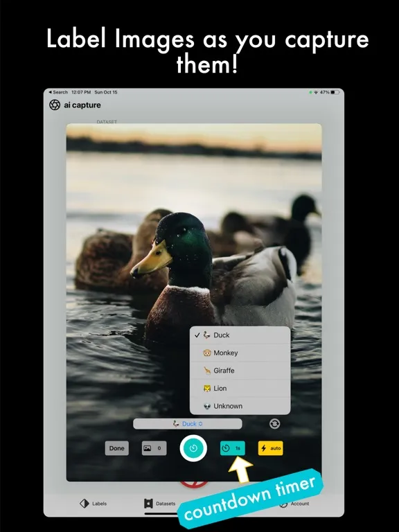 AI Capture: Create ML Datasets iPad 应用截图
