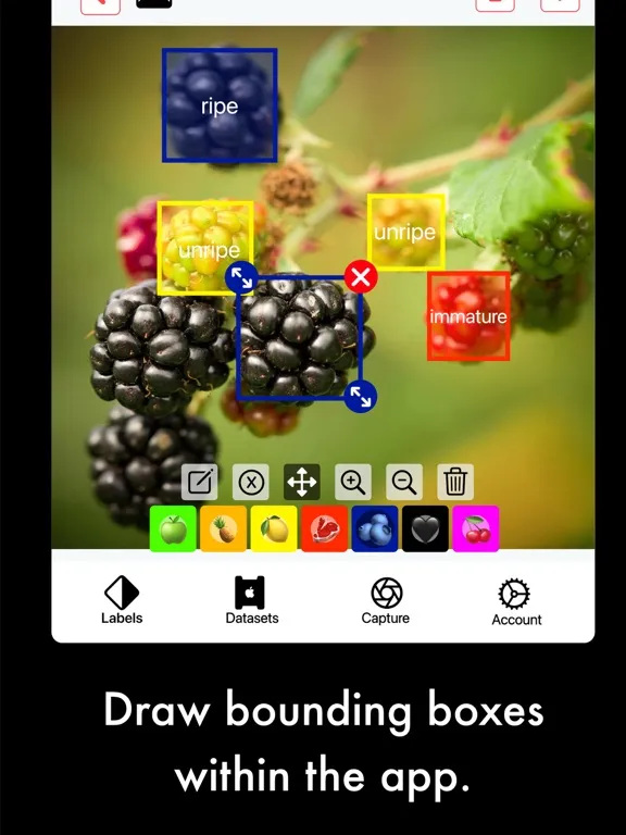 AI Capture: Create ML Datasets iPad 应用截图