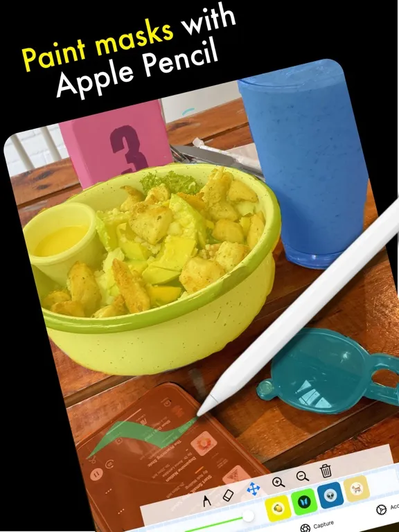 AI Capture: Create ML Datasets iPad 应用截图
