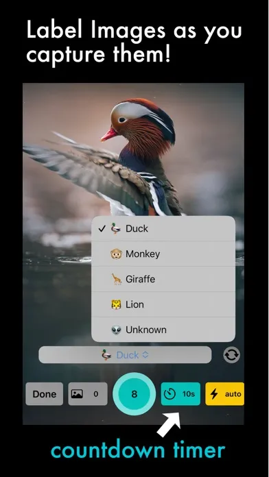 AI Capture: Create ML Datasets应用截图