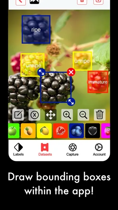 AI Capture: Create ML Datasets应用截图