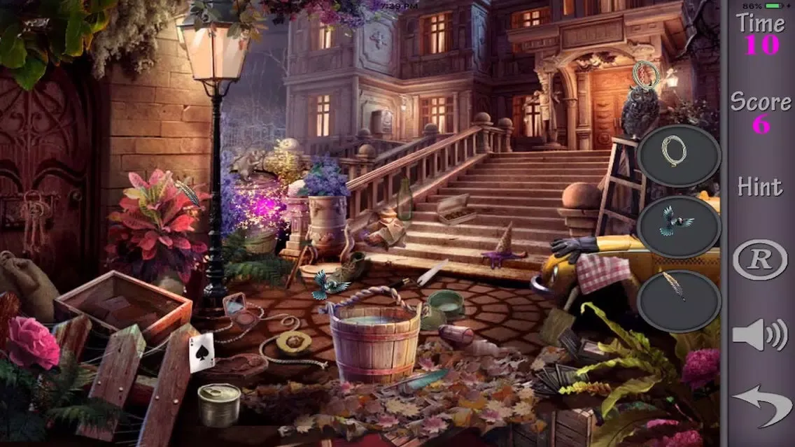 Hidden Objects Of A Sweet Revenge應用截圖