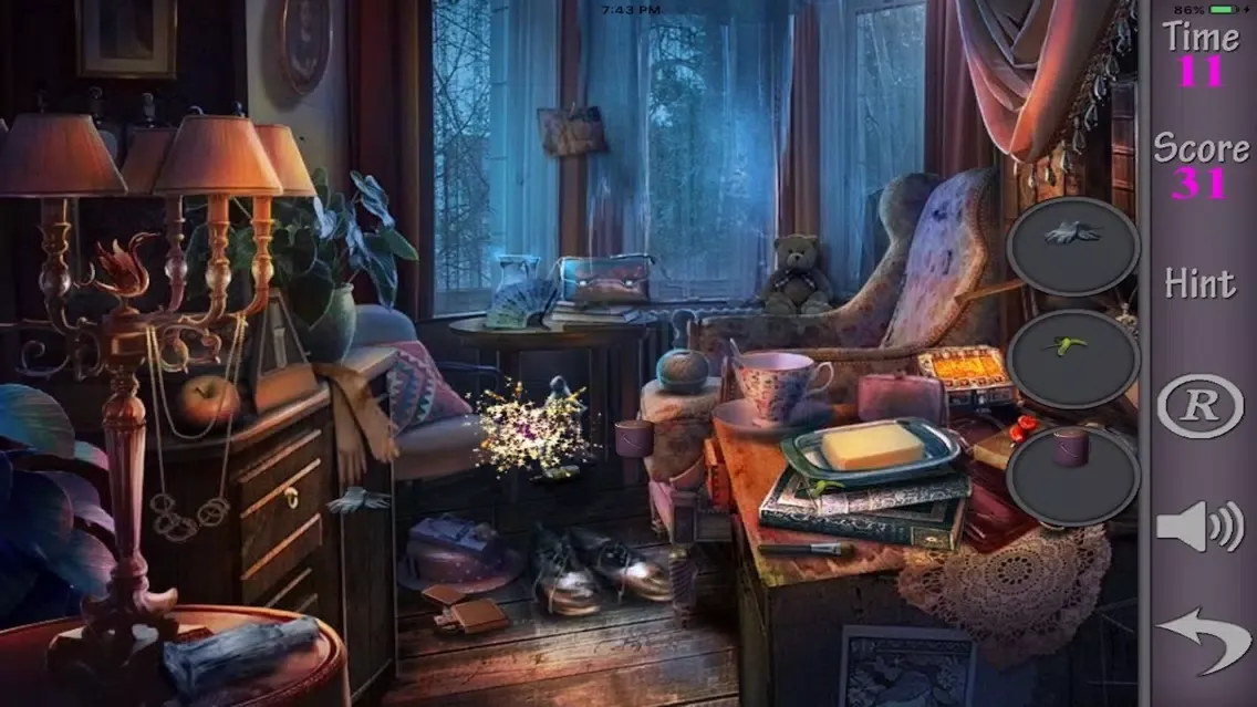 Hidden Objects Of A Sweet Revenge應用截圖