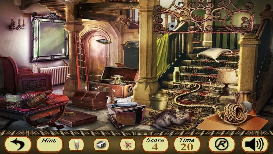Hidden Objects:Quess The Riddle Screenshots