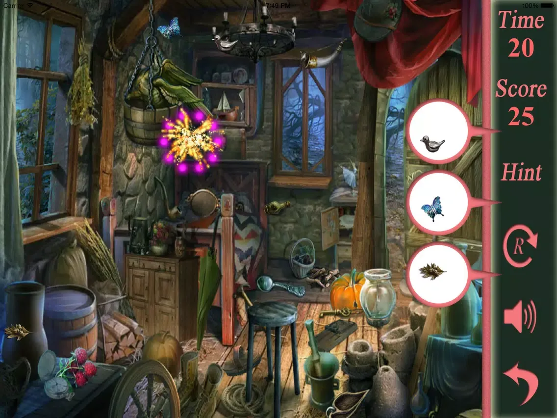 Zrzuty ekranu Hidden Objects The Hiding Place iPad 