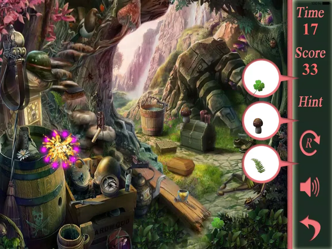 Zrzuty ekranu Hidden Objects The Hiding Place iPad 