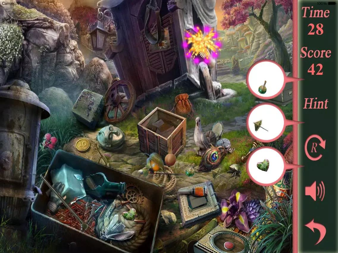Zrzuty ekranu Hidden Objects The Hiding Place iPad 