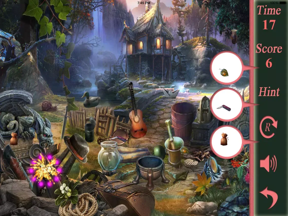 Zrzuty ekranu Hidden Objects The Hiding Place iPad 
