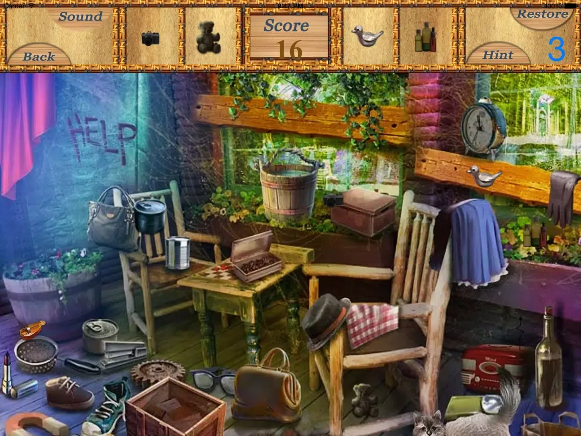 Hidden Objects An Unlimited Levels iPad  स्क्रीनशॉट