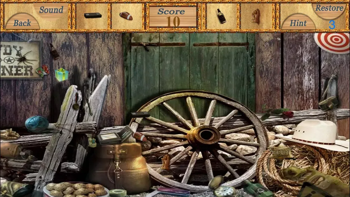 Hidden Objects An Unlimited Levels स्क्रीनशॉट