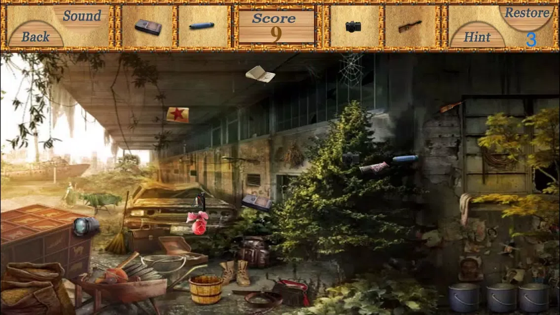 Hidden Objects An Unlimited Levels स्क्रीनशॉट