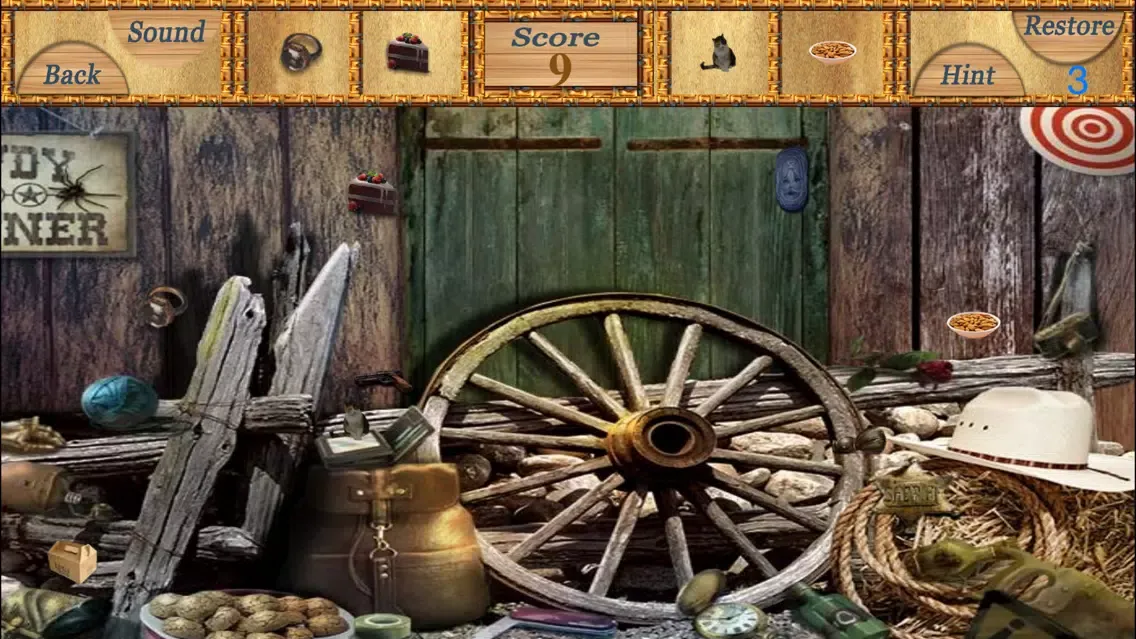 Hidden Objects An Unlimited Levels स्क्रीनशॉट