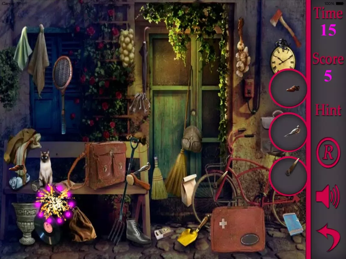 Capturas de tela do Hidden Objects Of My Neighbour Vampire iPad 