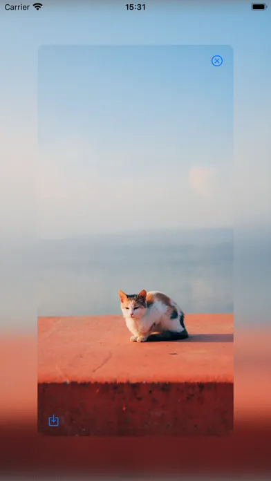 Zrzuty ekranu Prank Call & Wallpaper