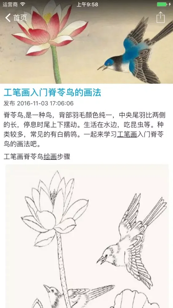 ภาพหน้าจอของ 国画入门基础教程 - 学国画传承绘画艺术