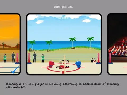 Boxing Ball: SunArc Studios iPad 应用截图