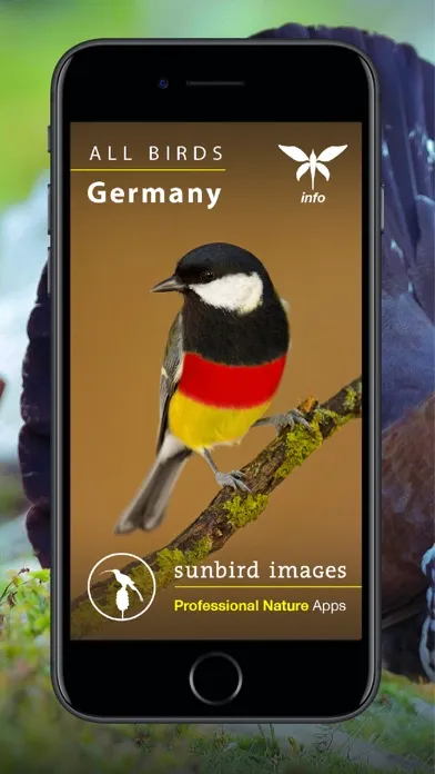 Screenshot di All Birds Germany