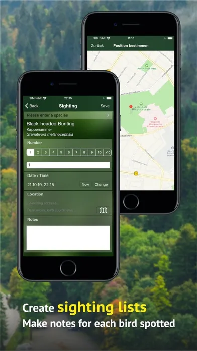 Screenshot di All Birds Germany
