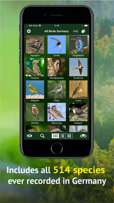 Screenshot di All Birds Germany