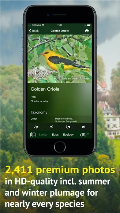 Screenshot di All Birds Germany