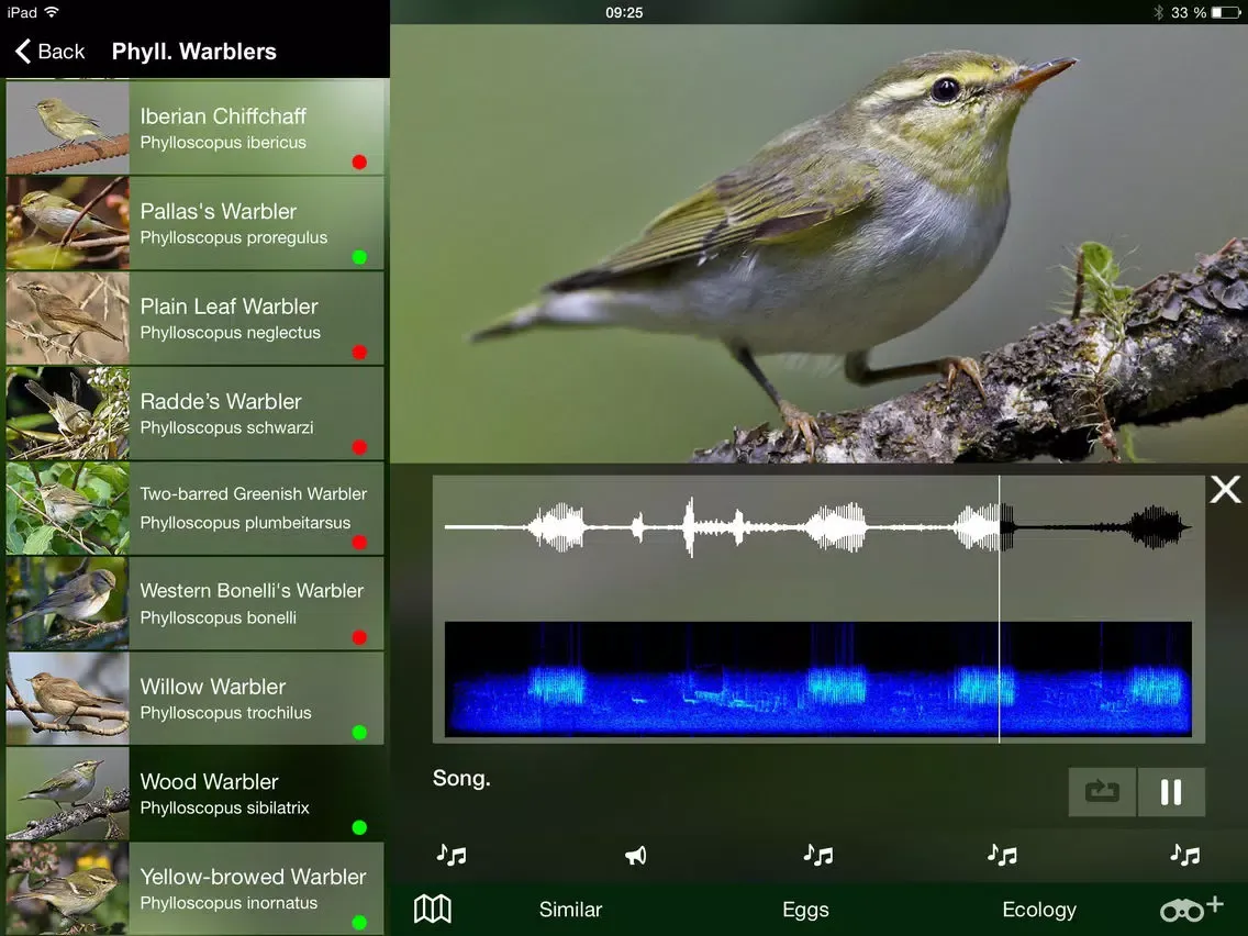 Tangkapan layar All Birds Netherlands - A Complete Field Guide to the Official List of Bird Species Recorded in the Netherlands iPad 