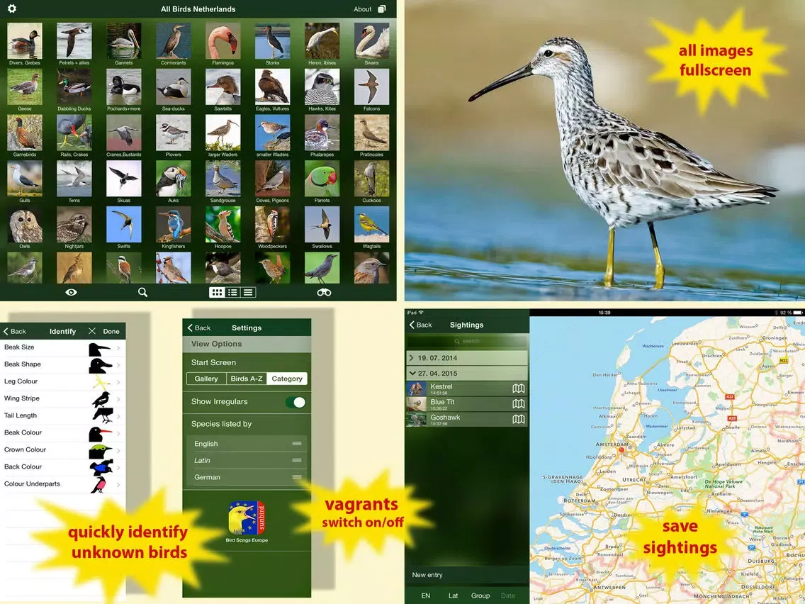 Tangkapan layar All Birds Netherlands - A Complete Field Guide to the Official List of Bird Species Recorded in the Netherlands iPad 