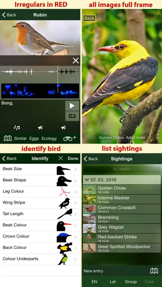 Tangkapan layar All Birds Netherlands - A Complete Field Guide to the Official List of Bird Species Recorded in the Netherlands