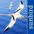 All Birds PR -> Antigua