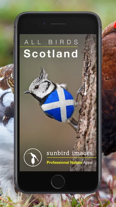 All Birds Scotland Photo Guide স্ক্রিনশট