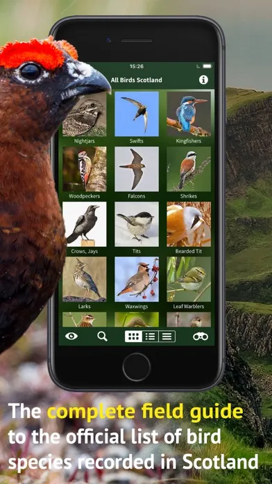 All Birds Scotland Photo Guide স্ক্রিনশট