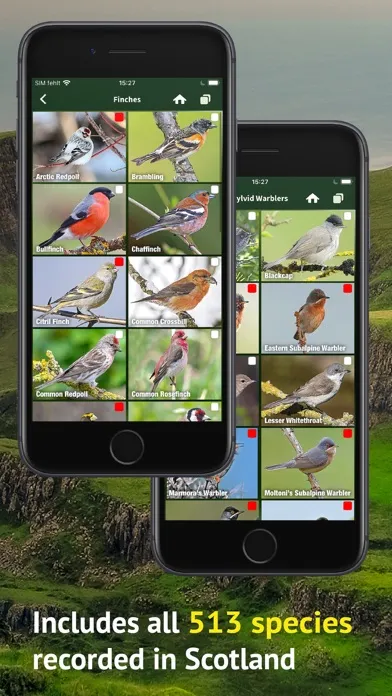 All Birds Scotland Photo Guide স্ক্রিনশট