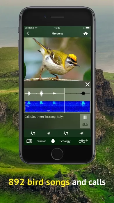 All Birds Scotland Photo Guide স্ক্রিনশট