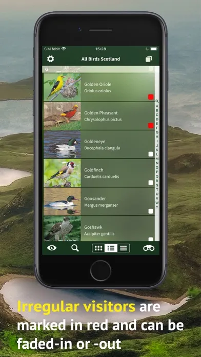 All Birds Scotland Photo Guide স্ক্রিনশট