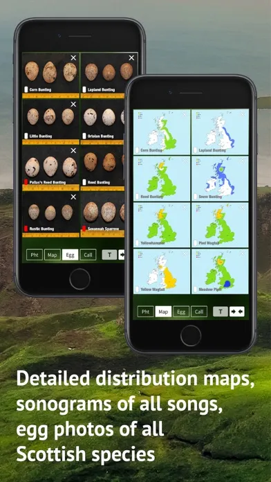 All Birds Scotland Photo Guide স্ক্রিনশট