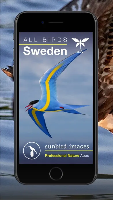 صور All Birds Sweden - Photo Guide