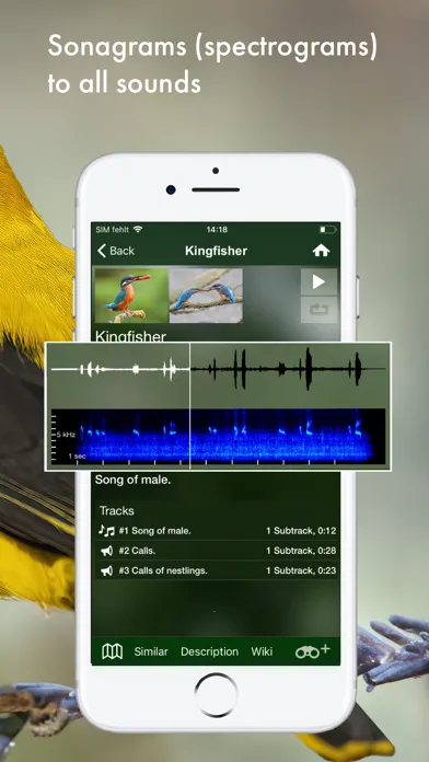 Captures d'écran de BIRD SONGS Europe North Africa