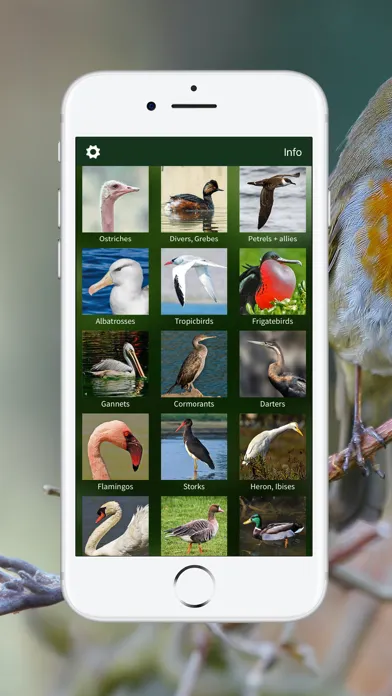 Captures d'écran de BIRD SONGS Europe North Africa
