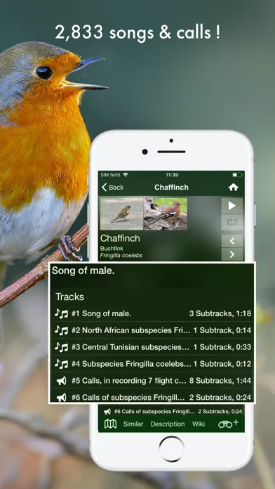 Captures d'écran de BIRD SONGS Europe North Africa