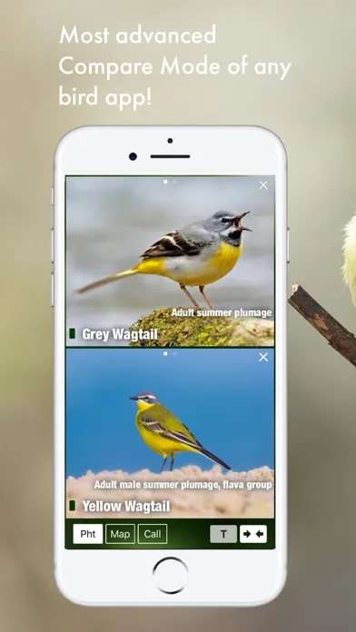 Captures d'écran de BIRD SONGS Europe North Africa