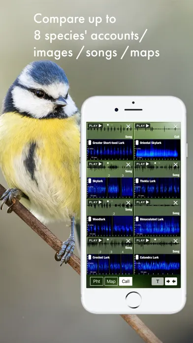 Captures d'écran de BIRD SONGS Europe North Africa