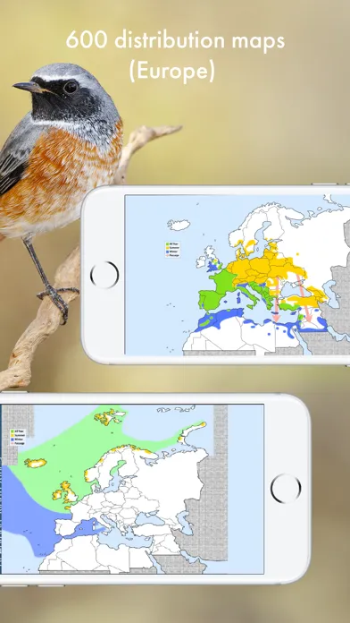 Captures d'écran de BIRD SONGS Europe North Africa