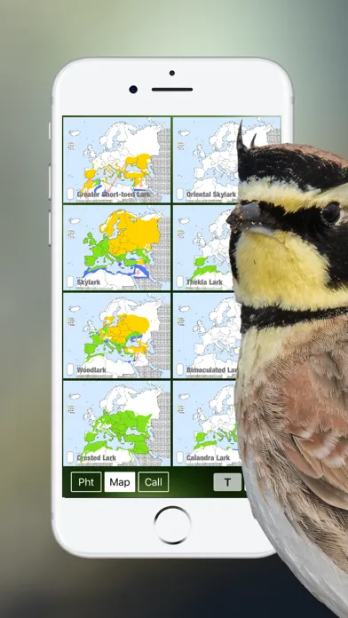 Captures d'écran de BIRD SONGS Europe North Africa