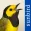 Bird Songs USA & Canada (3100)